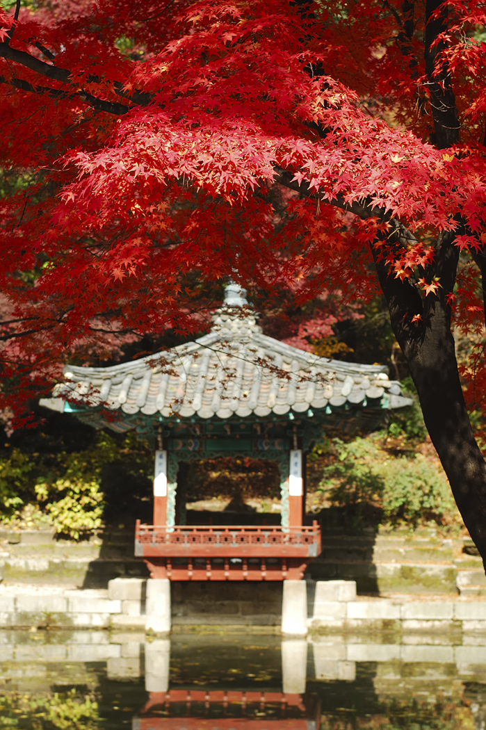 Korea